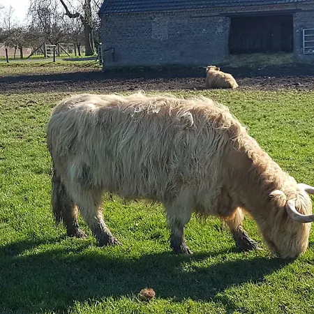 Domizil Апартаменты *