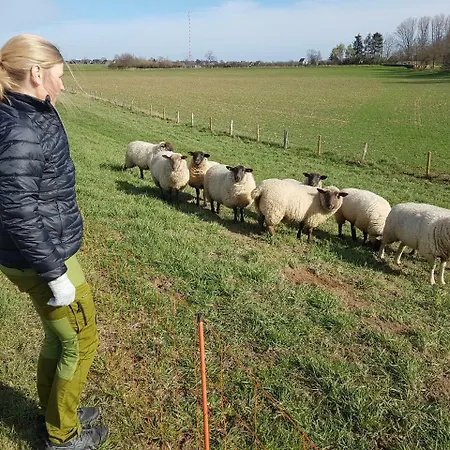 Апартаменты Domizil